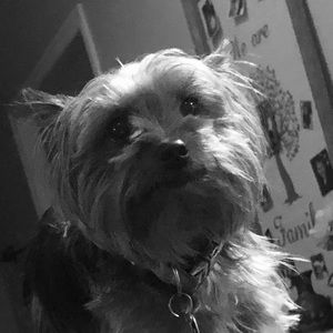 Meet your Posher, Paris